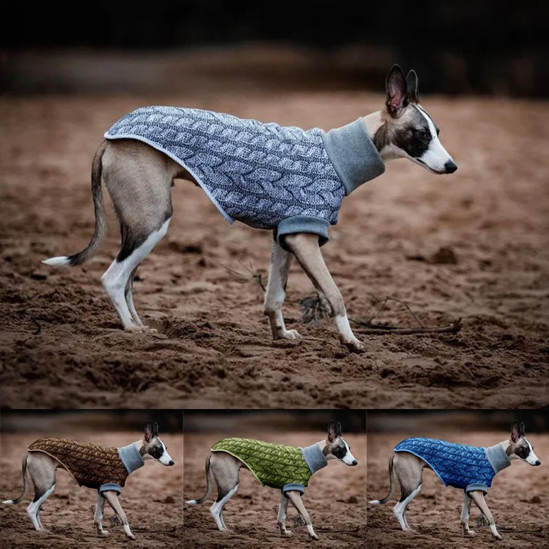 Dogs Two Legged Clothes Dog Clothes Winter Big Dog Luxury French Bulldog Sweatshirt Winter Pet Coat Apparel Christmas Sweater
Dogs Two Legged Clothes Dog Clothes Winter Big Dog Luxury French Bulldog Sweatshirt Winter Pet Coat Apparel Christmas Sweater