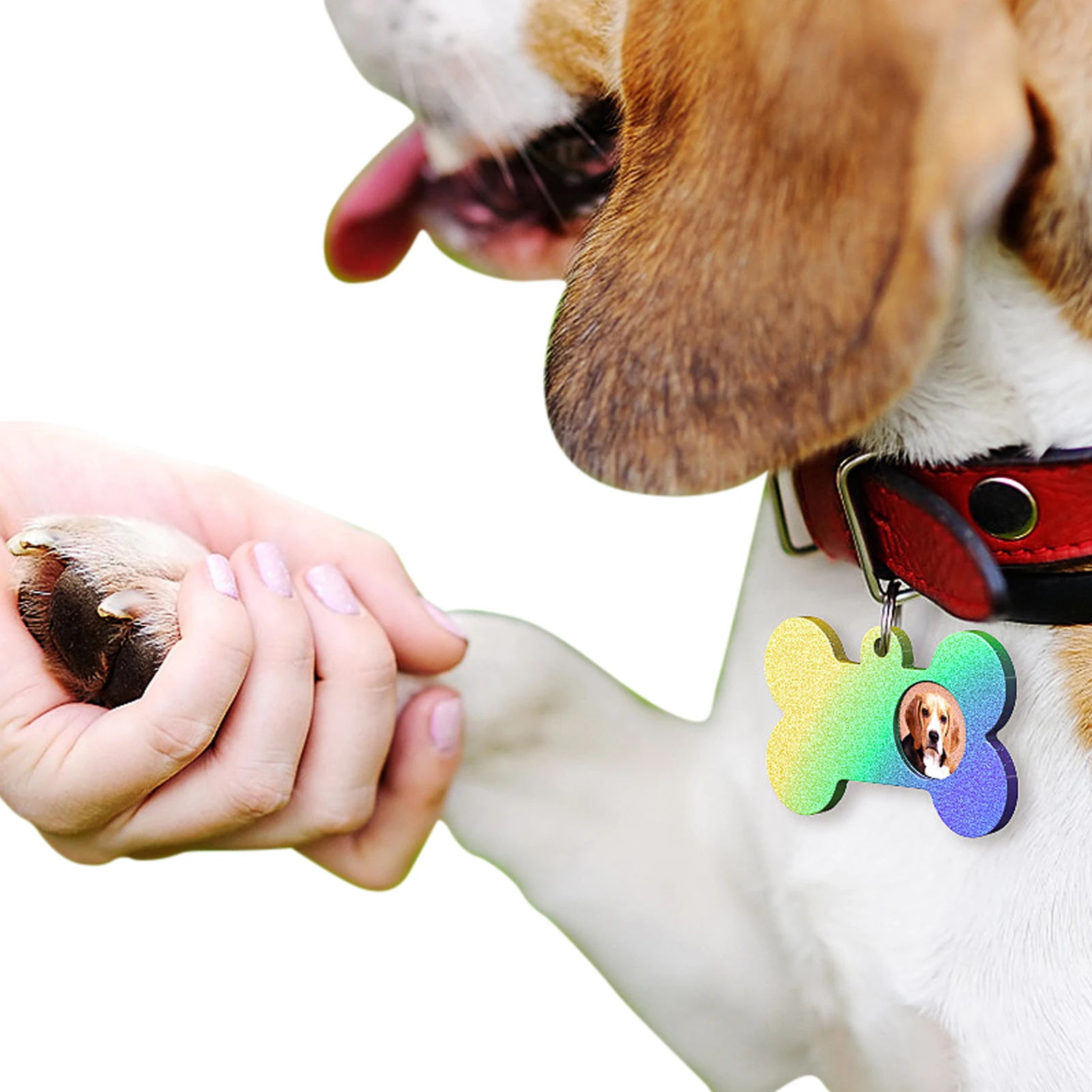 Bone Shaped Resin Molds Dog Bone-Shaped Silicone Molds For Casting Epoxy Resin Dog Pet Name ID Tags Molds For Resin Personalized
Bone Shaped Resin Molds Dog Bone-Shaped Silicone Molds For Casting Epoxy Resin Dog Pet Name ID Tags Molds For Resin Personalized