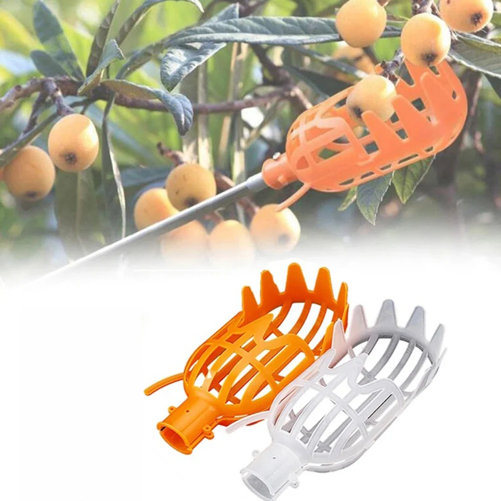 Garden Basket Fruit Picker Head Plastic Fruit Picking Tool High-altitude Fruit Picker Picking Loquat Picking Bayberry Tool
Garden Basket Fruit Picker Head Plastic Fruit Picking Tool High-altitude Fruit Picker Picking Loquat Picking Bayberry Tool