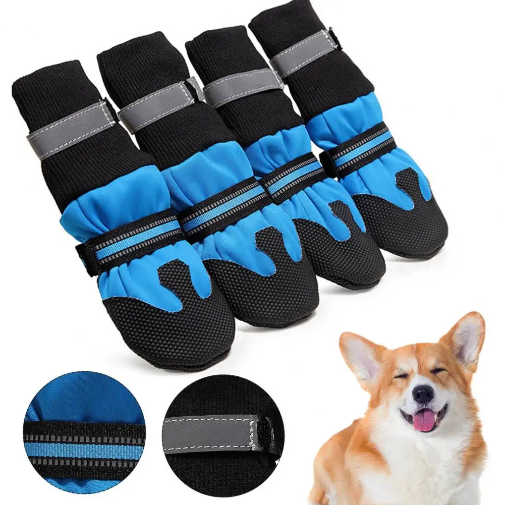 Stylish Pet Sneakers Fashionable Cozy Pet Shoes Waterproof Pet Sneaker Boots for Casual Pet Shoes
Stylish Pet Sneakers Fashionable Cozy Pet Shoes Waterproof Pet Sneaker Boots for Casual Pet Shoes