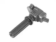 221604700 for ignition coil FOCUS III. S60.S80.V60.XC60. DISCOVERY. FREE ER II JAGUAR XE (X760) 2.0 15 XF (X250
221604700 for ignition coil FOCUS III. S60.S80.V60.XC60. DISCOVERY. FREE ER II JAGUAR XE (X760) 2.0 15 XF (X250