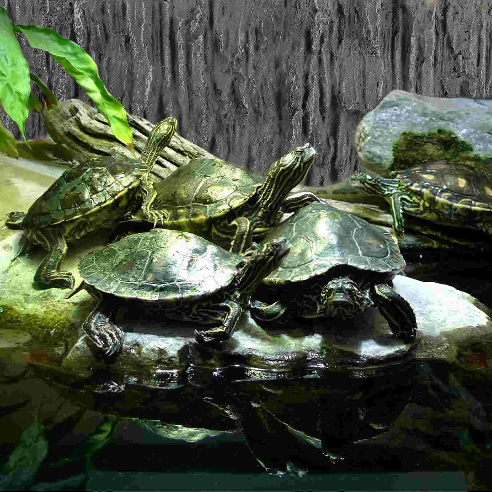 Aquarium Fish Tank Decorations Background Boards Reptile Decorative Terrarium Backgrounds 3d Glass Bowl
Aquarium Fish Tank Decorations Background Boards Reptile Decorative Terrarium Backgrounds 3d Glass Bowl