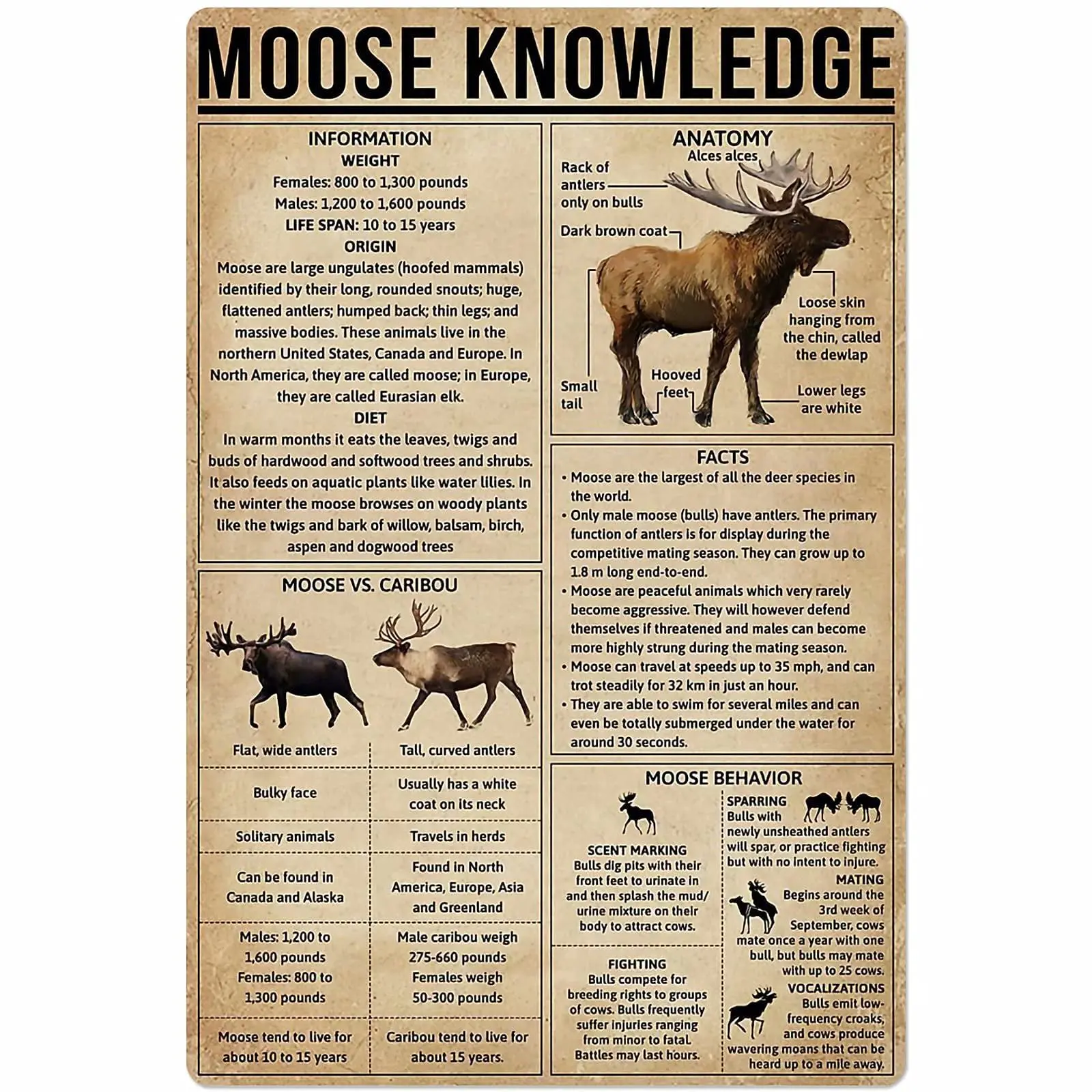 Veidsuh Moose Knowledge Retro Poster Plaque for Club Cafe Bar Home Kitchen Wall Decoration
Veidsuh Moose Knowledge Retro Poster Plaque for Club Cafe Bar Home Kitchen Wall Decoration