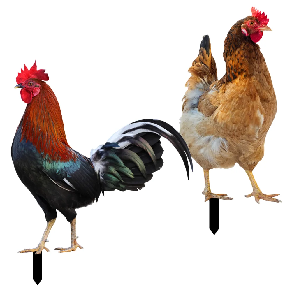 Decorative Garden Inserts Chicken Stake Sign Hen Ornaments Yards Acrylic For Decorations
Decorative Garden Inserts Chicken Stake Sign Hen Ornaments Yards Acrylic For Decorations