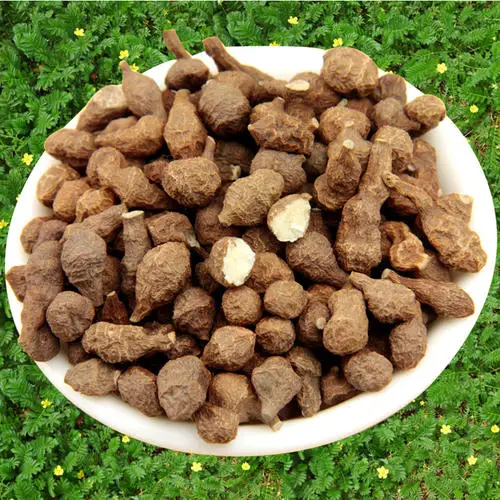 Wild fern hemp fresh special ginseng fruit Tibet sulfur-free nettle 500g Fern and ginseng fruit
Wild fern hemp fresh special ginseng fruit Tibet sulfur-free nettle 500g Fern and ginseng fruit