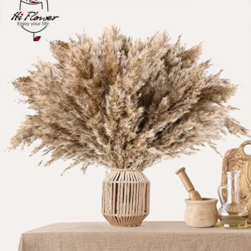 30Pcs Natural Dried Flower Fluffy Pampas Grass Home Decor Accessories Artificial Flowers Bunny Rabbit Tail Wedding Decoration
30Pcs Natural Dried Flower Fluffy Pampas Grass Home Decor Accessories Artificial Flowers Bunny Rabbit Tail Wedding Decoration