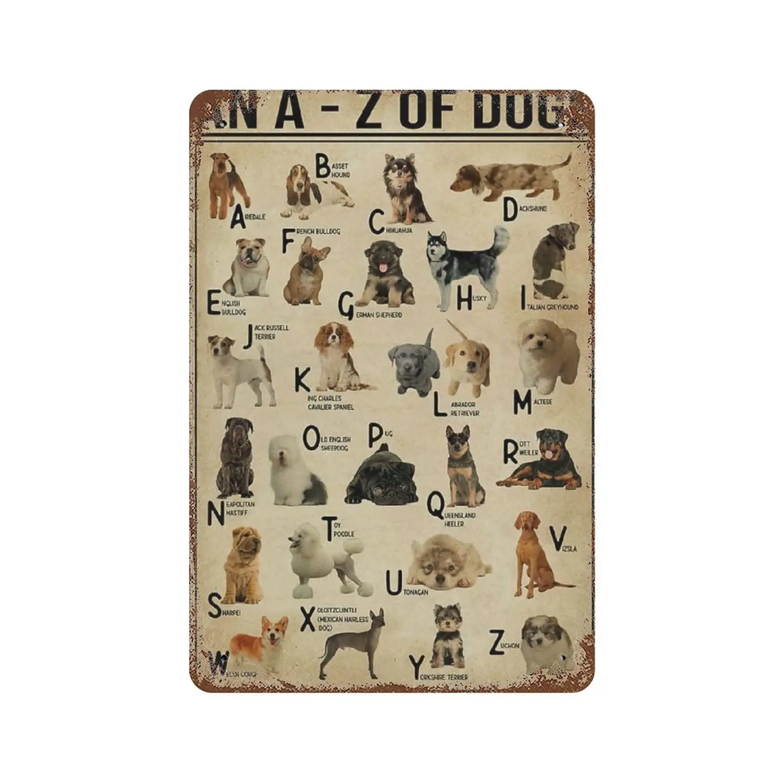 Vintage Metal Tin Sign Plaque,an A - Z of Dogs -All Kind of Dog Tin Sign,Man cave Pub Club Cafe Home Decor Plate,Birthday Annive
Vintage Metal Tin Sign Plaque,an A - Z of Dogs -All Kind of Dog Tin Sign,Man cave Pub Club Cafe Home Decor Plate,Birthday Annive