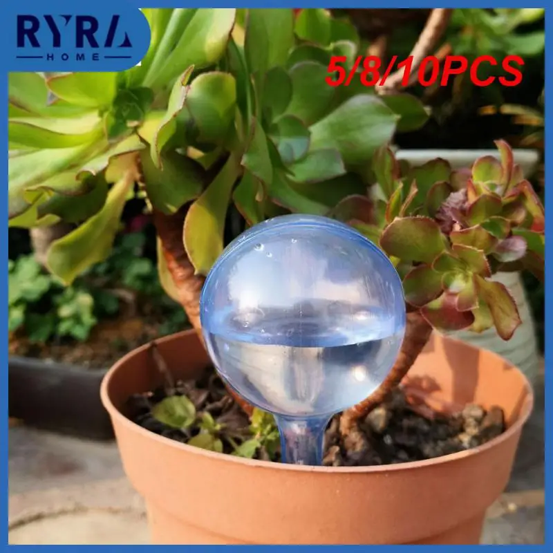 5/8/10PCS Bird Shape Transparent Watering Feeder Device Plastic Bird Watering Device Automatic Auto Drip Irrigation System
5/8/10PCS Bird Shape Transparent Watering Feeder Device Plastic Bird Watering Device Automatic Auto Drip Irrigation System