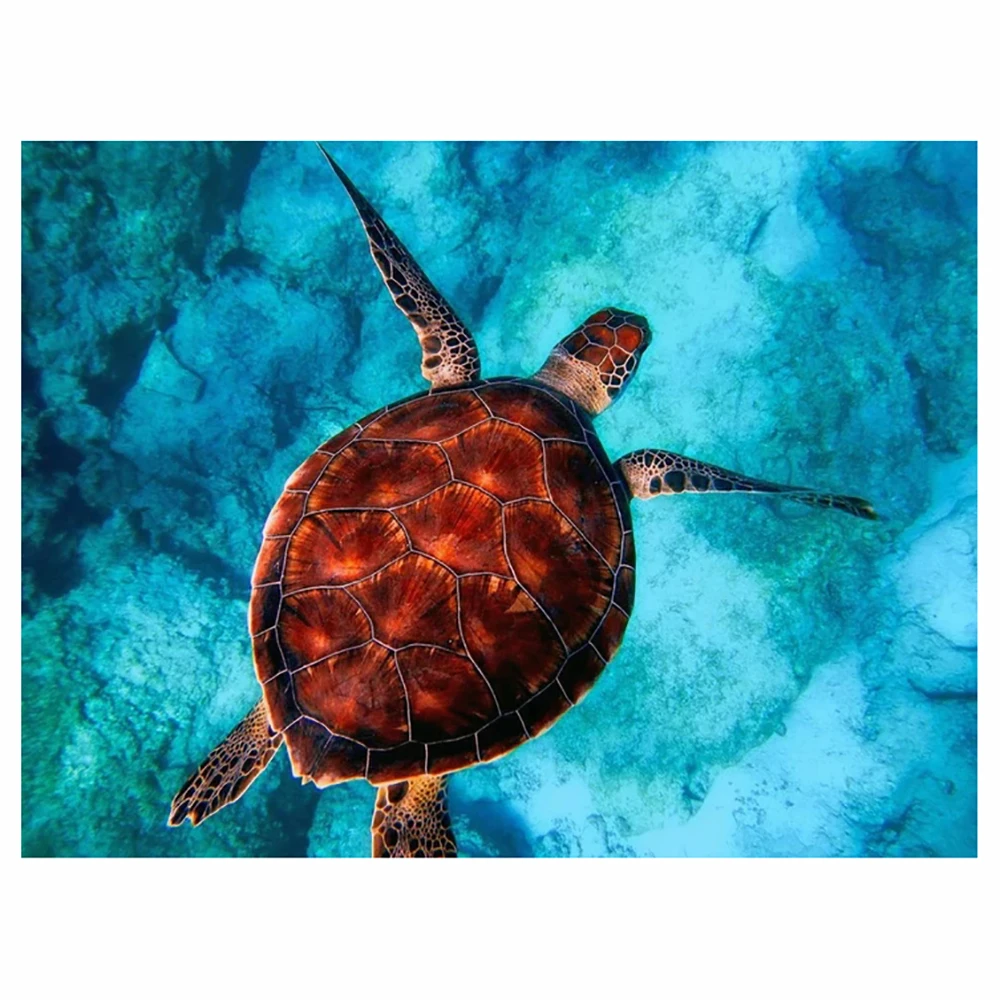 5D DIY Diamond Painting Blue Sea Turtle Full Square/Round Rhinestone Hobby Crafts Mosaic Handmade Gifts Cross Stitch Home Decor
5D DIY Diamond Painting Blue Sea Turtle Full Square/Round Rhinestone Hobby Crafts Mosaic Handmade Gifts Cross Stitch Home Decor