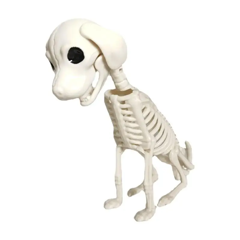 Halloween Dog Skeleton Realistic Life Size Dog Skeleton Sculpture For Home party Decor Haunted House Decoration Horror Props
Halloween Dog Skeleton Realistic Life Size Dog Skeleton Sculpture For Home party Decor Haunted House Decoration Horror Props