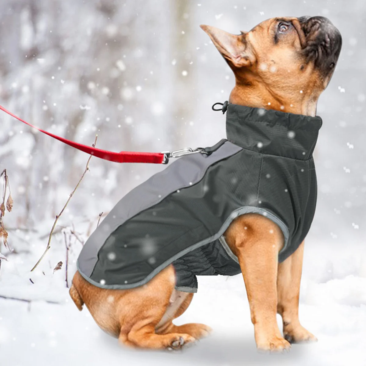Dog Coat Puppy Pet Winter Dogs Vest Clothes Jumpsuit Costume Jacket Raincoat Warm Doggie Outfit Coats Cloth Reflective Gift Cute
Dog Coat Puppy Pet Winter Dogs Vest Clothes Jumpsuit Costume Jacket Raincoat Warm Doggie Outfit Coats Cloth Reflective Gift Cute
