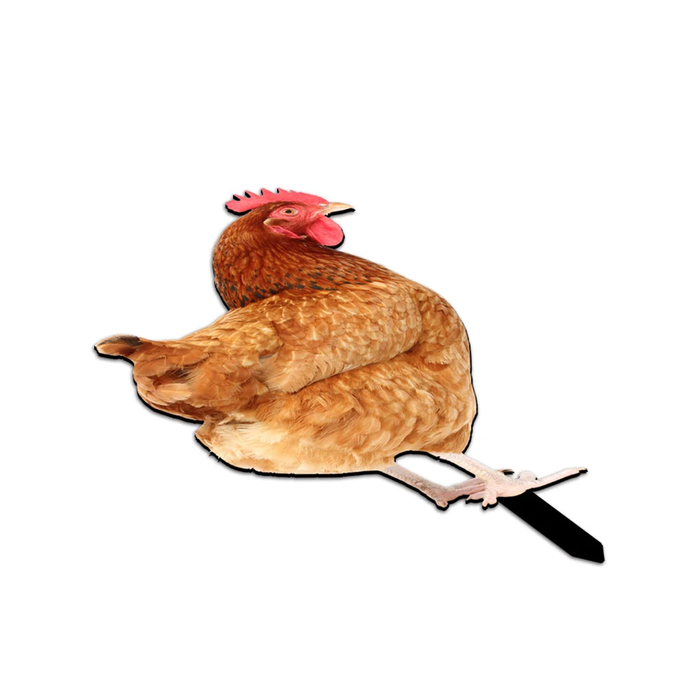 Decorative Chicken Sign Poles 1/3Pcs Acrylic Backyard Chick Characters Farmhouse Statue Garden Lawn Simulation
Decorative Chicken Sign Poles 1/3Pcs Acrylic Backyard Chick Characters Farmhouse Statue Garden Lawn Simulation