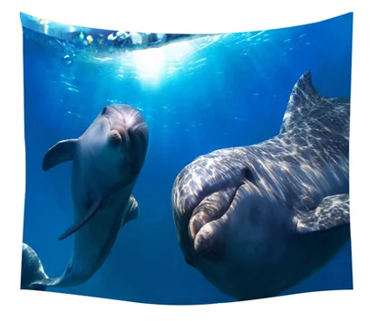 Dolphin starfish sea turtle sailing in the big ship tapestry home accessories Amazon wish hot sale background cloth
Dolphin starfish sea turtle sailing in the big ship tapestry home accessories Amazon wish hot sale background cloth