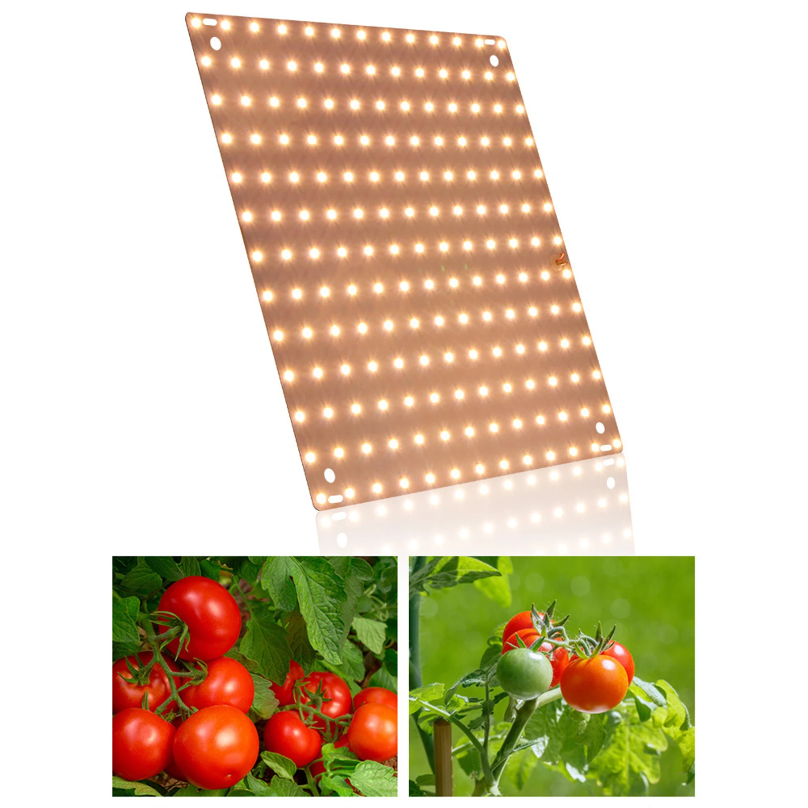 LED Grow Light For Plants Full Spectrum Plant Lighting Durable Indoor Plant Seedling Grow Lamp Excellent Heat Dissipation Design
LED Grow Light For Plants Full Spectrum Plant Lighting Durable Indoor Plant Seedling Grow Lamp Excellent Heat Dissipation Design
