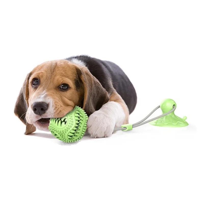 Dog Sucker Leaking Food Toy Dog Molar Ball Leaker with Bell Suction Cup Dog Toy Dog Toys Chew Toys Dog Toothbrush Toy Puppy Toys
Dog Sucker Leaking Food Toy Dog Molar Ball Leaker with Bell Suction Cup Dog Toy Dog Toys Chew Toys Dog Toothbrush Toy Puppy Toys