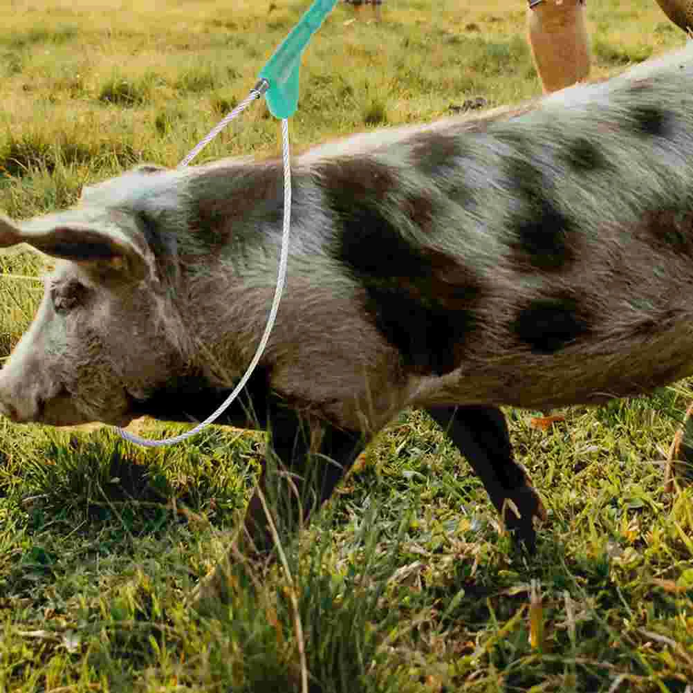 Professional Catcher Convenient Sheep Catcher Farm Cattle Catcher Farm Accessory Livestock Catcher
Professional Catcher Convenient Sheep Catcher Farm Cattle Catcher Farm Accessory Livestock Catcher