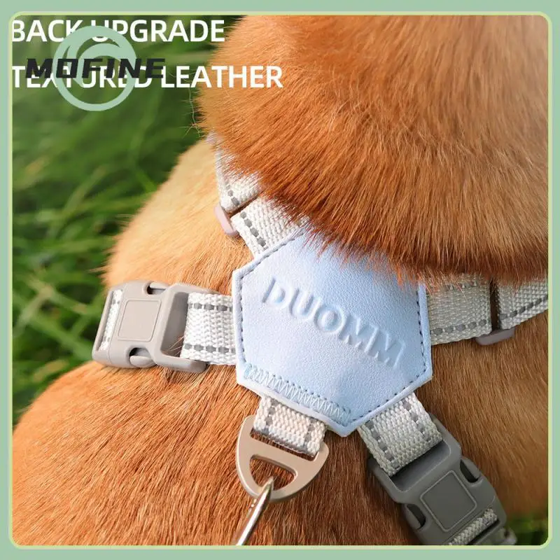 Reflective Puppy Chest Strap Safe New Cat Chest Strap Fashionable Dog Collars Necktie Traction Rope Dog Accessories Adjustable
Reflective Puppy Chest Strap Safe New Cat Chest Strap Fashionable Dog Collars Necktie Traction Rope Dog Accessories Adjustable