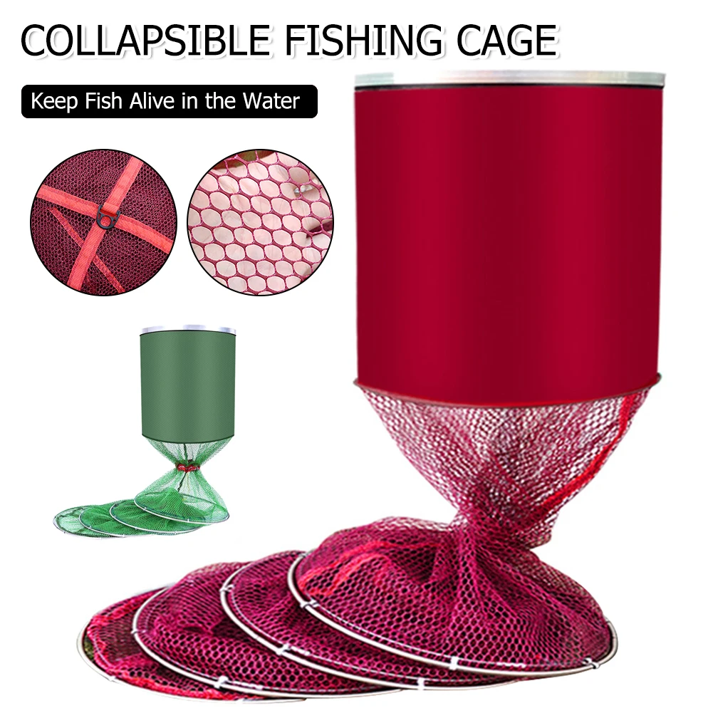 5 Layers Collapsible Fishing Cage Folding Goods Mesh Equipment Tool Outdoor Shrimp Nylon Crab Fishing Net Cage Fishing Tool
5 Layers Collapsible Fishing Cage Folding Goods Mesh Equipment Tool Outdoor Shrimp Nylon Crab Fishing Net Cage Fishing Tool