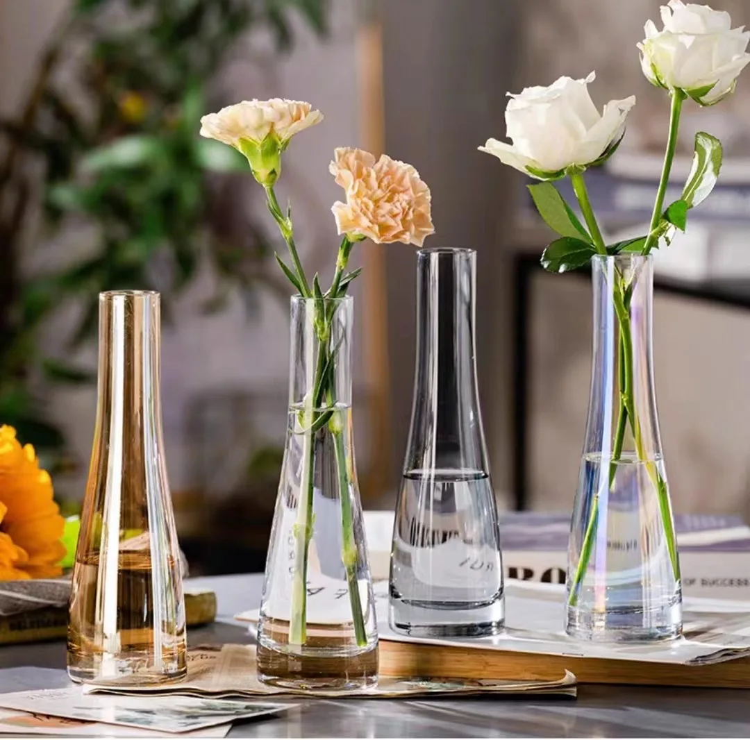 Transparent Glass Vases for Plant Bottle Nordic Flower Vase Creative Hydroponic Terrarium Container Flower Table Pot
Transparent Glass Vases for Plant Bottle Nordic Flower Vase Creative Hydroponic Terrarium Container Flower Table Pot