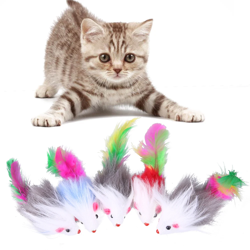 5pcs Soft Fleece False Mouse Cat Toys Colorful Feather Funny Playing Toys For Cats Kitten Interactive Ball Cat Toy Pet Supplies
5pcs Soft Fleece False Mouse Cat Toys Colorful Feather Funny Playing Toys For Cats Kitten Interactive Ball Cat Toy Pet Supplies