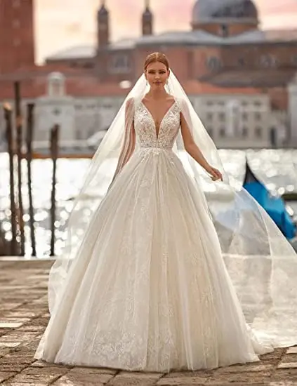 Elegant V-neck Wedding Dresses Sleeveless for Women Bride Tulle Prom Dresses for Bride
Elegant V-neck Wedding Dresses Sleeveless for Women Bride Tulle Prom Dresses for Bride