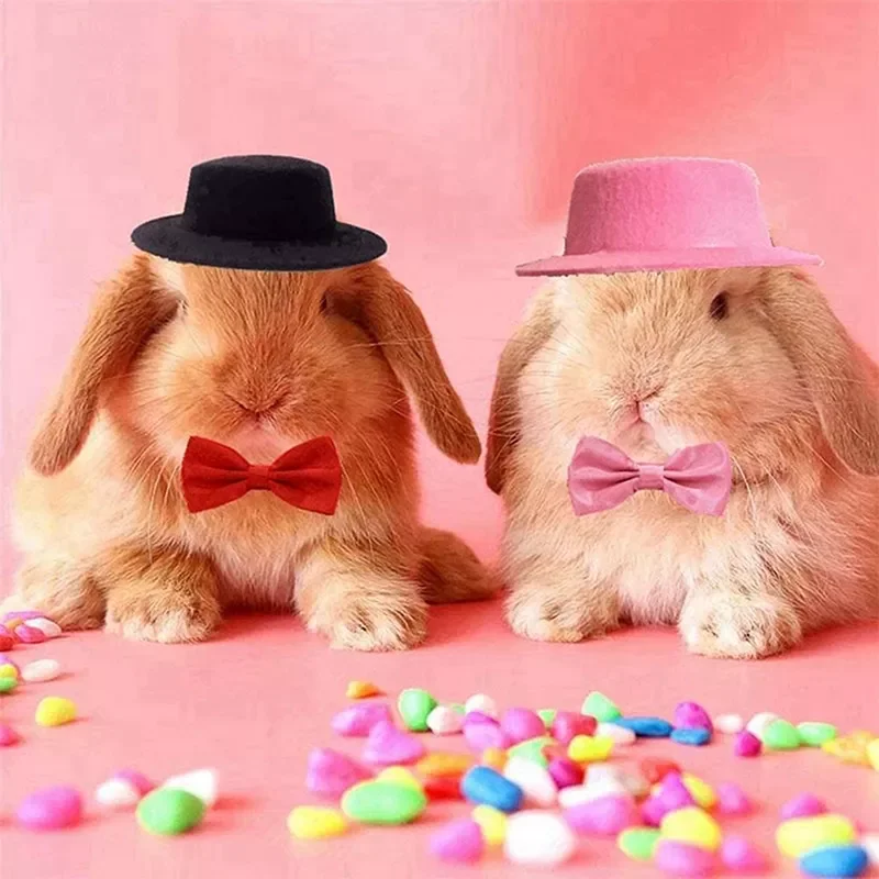 2020JMTSmall Animals Hats Rabbit Guinea Pig Hamster Totoro Hedgehog Lizard Hat And Bow Tie Top Hat Pet Festive Cap Head Accessor
2020JMTSmall Animals Hats Rabbit Guinea Pig Hamster Totoro Hedgehog Lizard Hat And Bow Tie Top Hat Pet Festive Cap Head Accessor