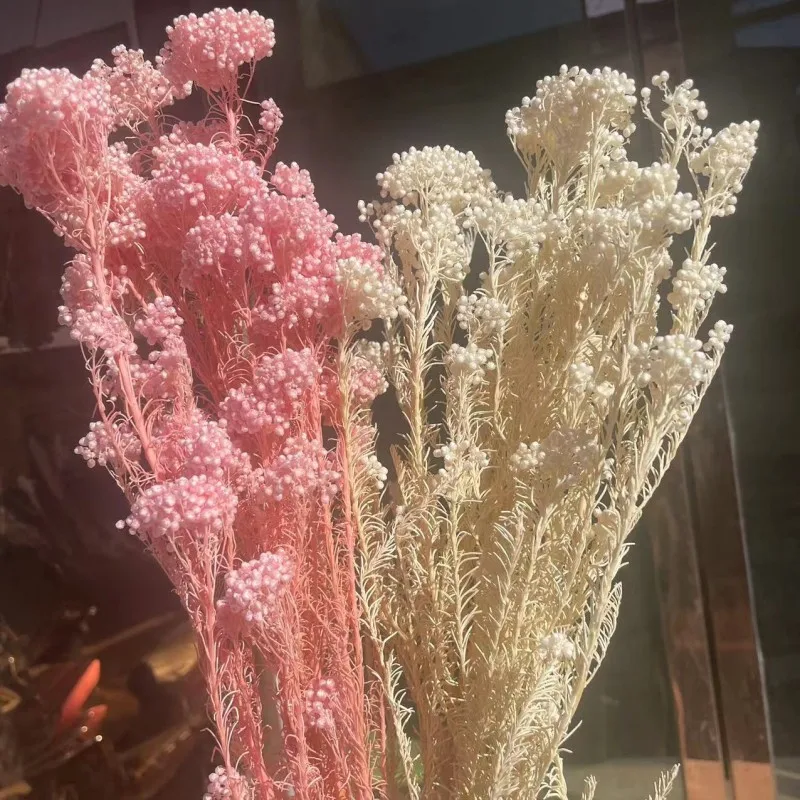 50g/Length 40-45CM Natural Fresh Ramillete Flores Eternell Millet Flower,Beauty Forever Flowers Bouquet For Wedding Gifts For Gu
50g/Length 40-45CM Natural Fresh Ramillete Flores Eternell Millet Flower,Beauty Forever Flowers Bouquet For Wedding Gifts For Gu