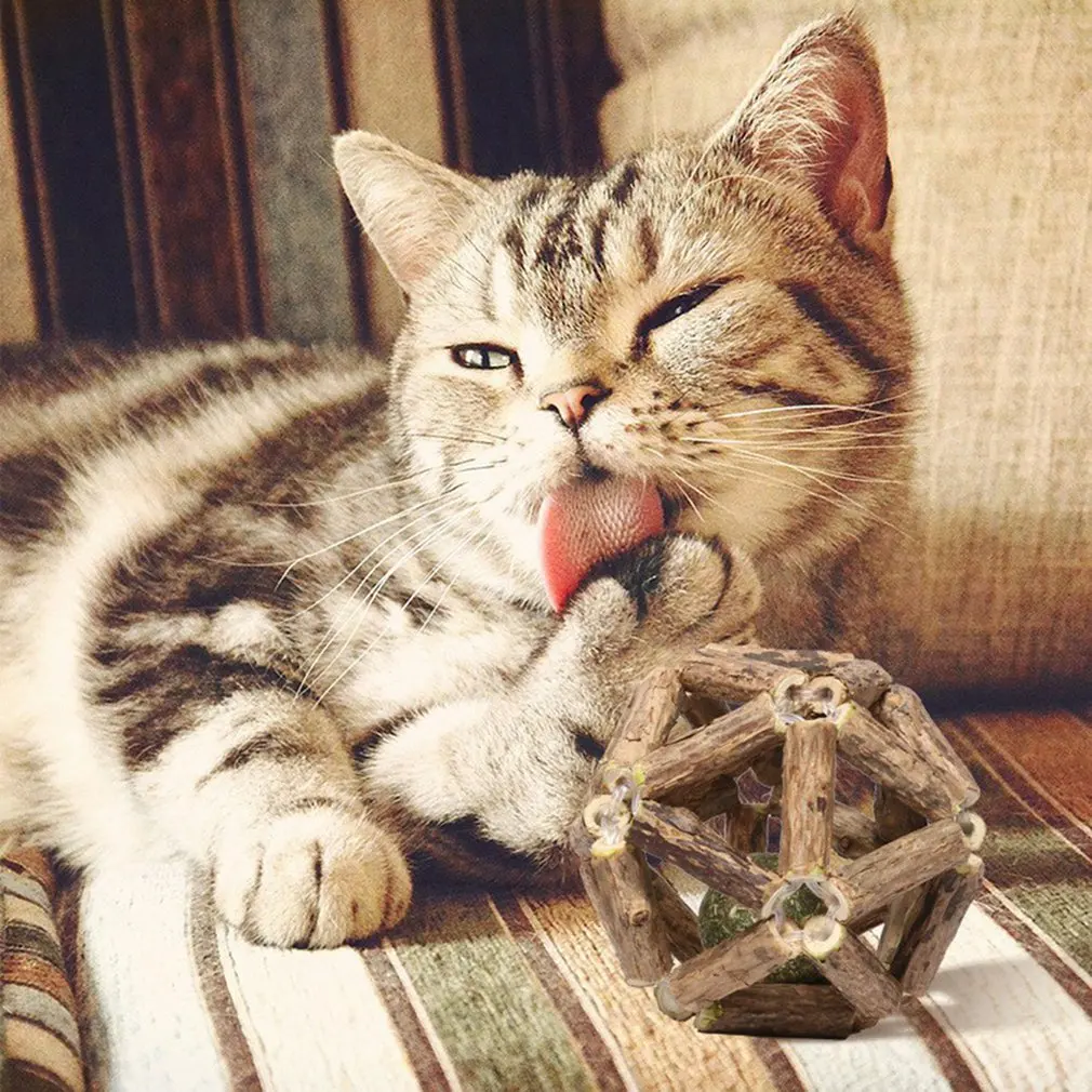Catnip Ball Cat Toys Interactivl Pet Suppliese Toy For Kitten Cleaning Cats Teeth Healthy Catnip Bal pet products
Catnip Ball Cat Toys Interactivl Pet Suppliese Toy For Kitten Cleaning Cats Teeth Healthy Catnip Bal pet products