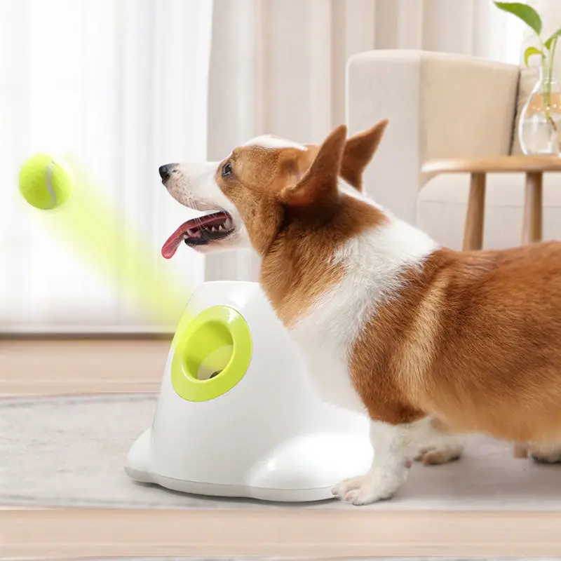 3/6/9m Pet Ball Throw Device Funny Dog Pet Toys Tennis Launcher Automatic Throwing Machine with 3 Balls Dog Training
3/6/9m Pet Ball Throw Device Funny Dog Pet Toys Tennis Launcher Automatic Throwing Machine with 3 Balls Dog Training