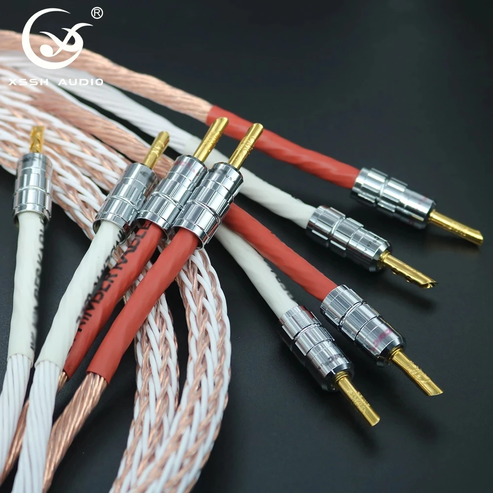 1 пара XSSH аудио Hi-end DIY HIFI Стандартный Банановый штекер для бананового штекера OFC медный 24-жильный кабель для динамика шнур провод
1 пара XSSH аудио Hi-end DIY HIFI Стандартный Банановый штекер для бананового штекера OFC медный 24-жильный кабель для динамика шнур провод