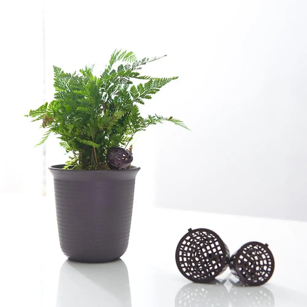3 Size of 50PCSAutomatic Fertilizer Lid Basket Bonsai Planting Gardening Supplies Nursery
3 Size of 50PCSAutomatic Fertilizer Lid Basket Bonsai Planting Gardening Supplies Nursery