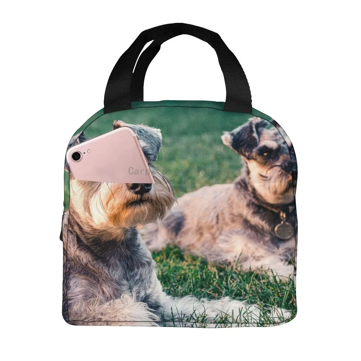 Lunch Bag Schnauzer Breeds Thermal Insulated Lunch Box Tote Cooler Bag Bento Pouch Lunch Container Food Storage Bag
Lunch Bag Schnauzer Breeds Thermal Insulated Lunch Box Tote Cooler Bag Bento Pouch Lunch Container Food Storage Bag