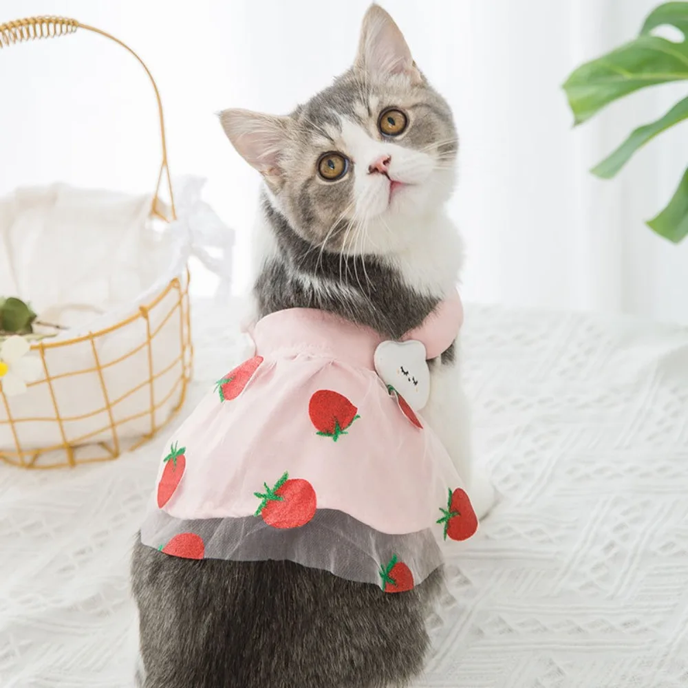 Summer Strawberry Thin Mesh Clothes Puppy Dress Teddy Vest Pet Clothes Pineapple Mesh Skirt
Summer Strawberry Thin Mesh Clothes Puppy Dress Teddy Vest Pet Clothes Pineapple Mesh Skirt