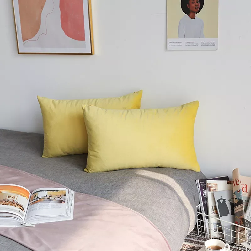 Super Soft Cushion Cover Velvet Pillow Cover For Sofa Living Room Housse De Coussin 30x50cm Decorative Pillows Nordic Decoration
Super Soft Cushion Cover Velvet Pillow Cover For Sofa Living Room Housse De Coussin 30x50cm Decorative Pillows Nordic Decoration