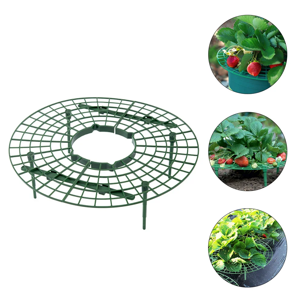 5 Pcs Strawberry Stand Strawberry Plants Climbing Pergola Lattice Frame Plastic Cages Cradle
5 Pcs Strawberry Stand Strawberry Plants Climbing Pergola Lattice Frame Plastic Cages Cradle