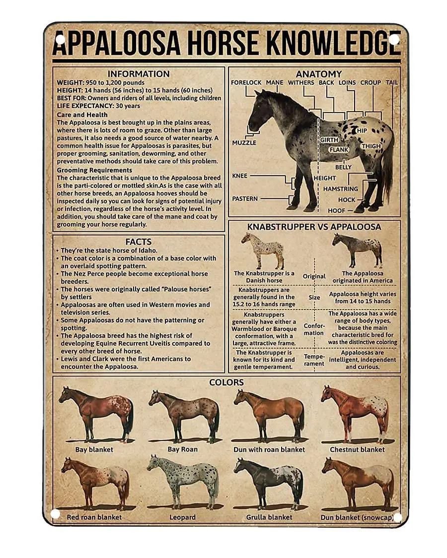 Знания о лошадях Veidsuh Appaloosa, металлический жестяной знак, металлический постер, кофейня, бара, клуба, гостиной, школьная стена, персонализированное домашнее искусство
Знания о лошадях Veidsuh Appaloosa, металлический жестяной знак, металлический постер, кофейня, бара, клуба, гостиной, школьная стена, персонализированное домашнее искусство