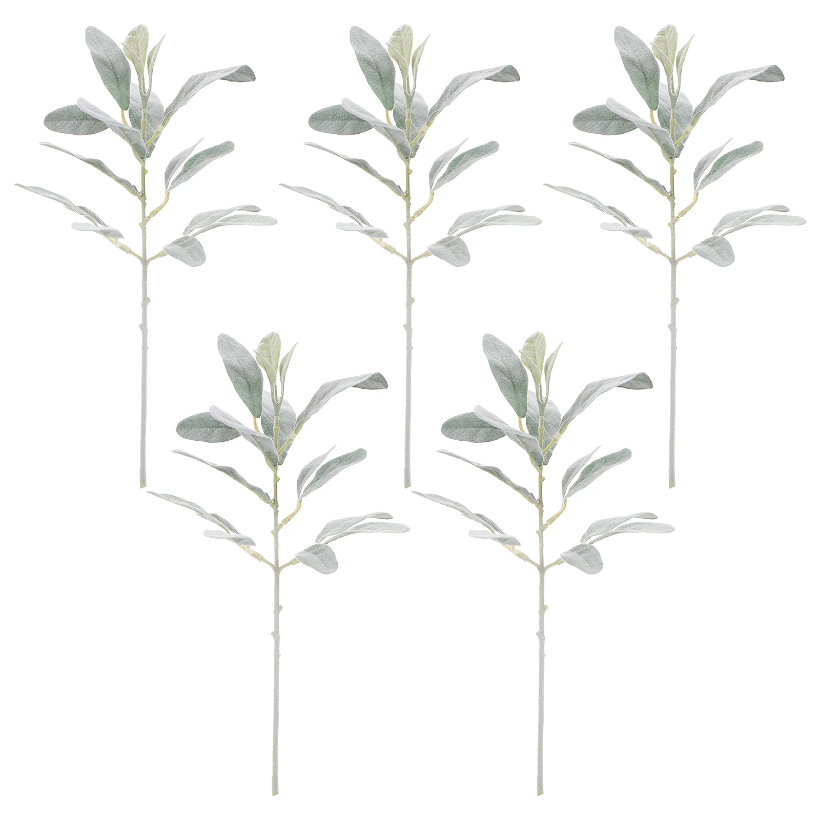 Leaves Eucalyptus Ear Rabbit Dusty Miller Stems Greenery Artificial Bouquet Wedding Bouquets Diy Floral Arrangements Sheep Stem
Leaves Eucalyptus Ear Rabbit Dusty Miller Stems Greenery Artificial Bouquet Wedding Bouquets Diy Floral Arrangements Sheep Stem