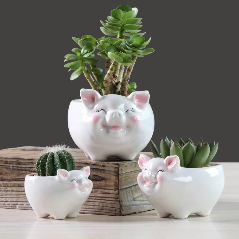 

Korean Cartoon Color Pig Succulent Ceramic Flower Pot Simple Green Plant Potted Artware Desktop Art Ornament Home Gardening