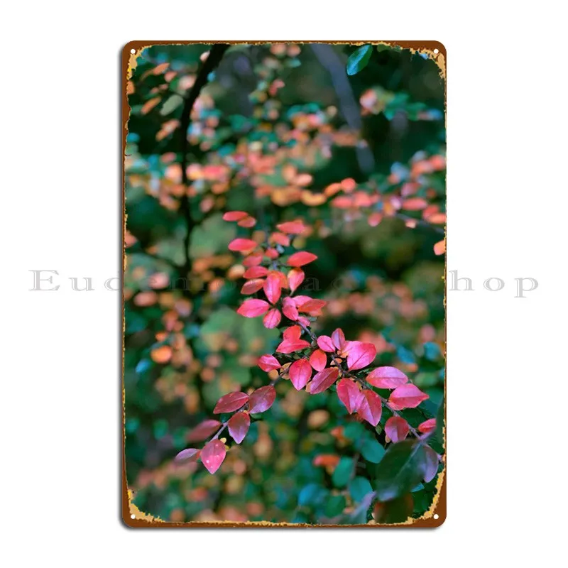 Cotoneaster Swiss Forest Metal Plaque Poster Cinema Decoration Wall Decor Garage Tin Sign Poster
Cotoneaster Swiss Forest Metal Plaque Poster Cinema Decoration Wall Decor Garage Tin Sign Poster