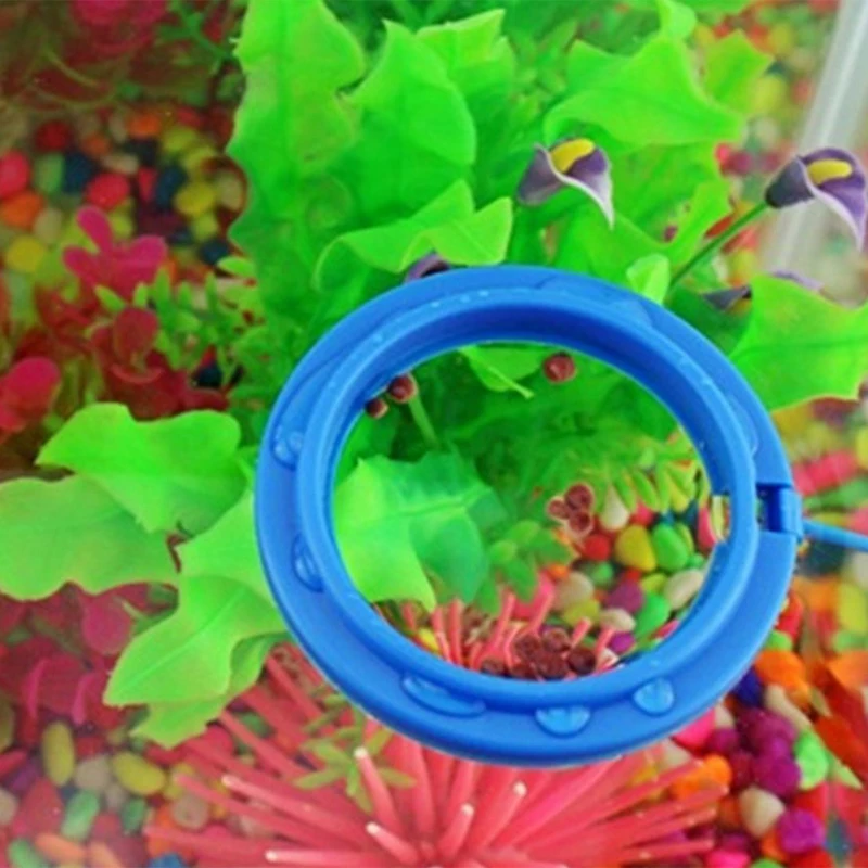 Aquarium Feeding Ring Fish Tank Station Floating Food Tray Feeder Square Circle Accessory Fish Food Feeder Suction Cup
Aquarium Feeding Ring Fish Tank Station Floating Food Tray Feeder Square Circle Accessory Fish Food Feeder Suction Cup