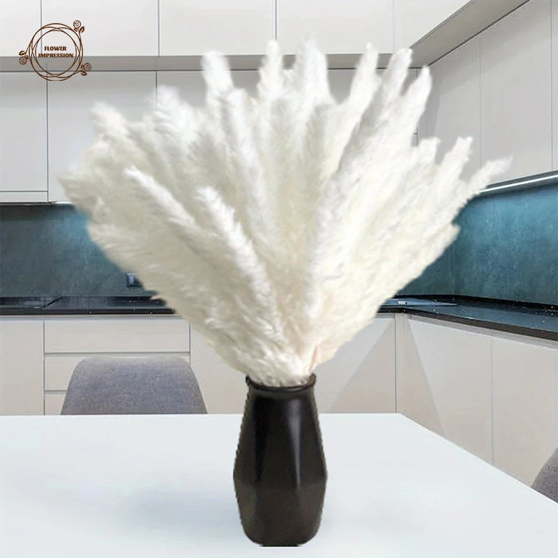 Wthie Pampas Grass Dried Flowers Fluffy Reed Flower Arrangement Boho Home Wedding Decoration Christmas supplies Artificial plant
Wthie Pampas Grass Dried Flowers Fluffy Reed Flower Arrangement Boho Home Wedding Decoration Christmas supplies Artificial plant