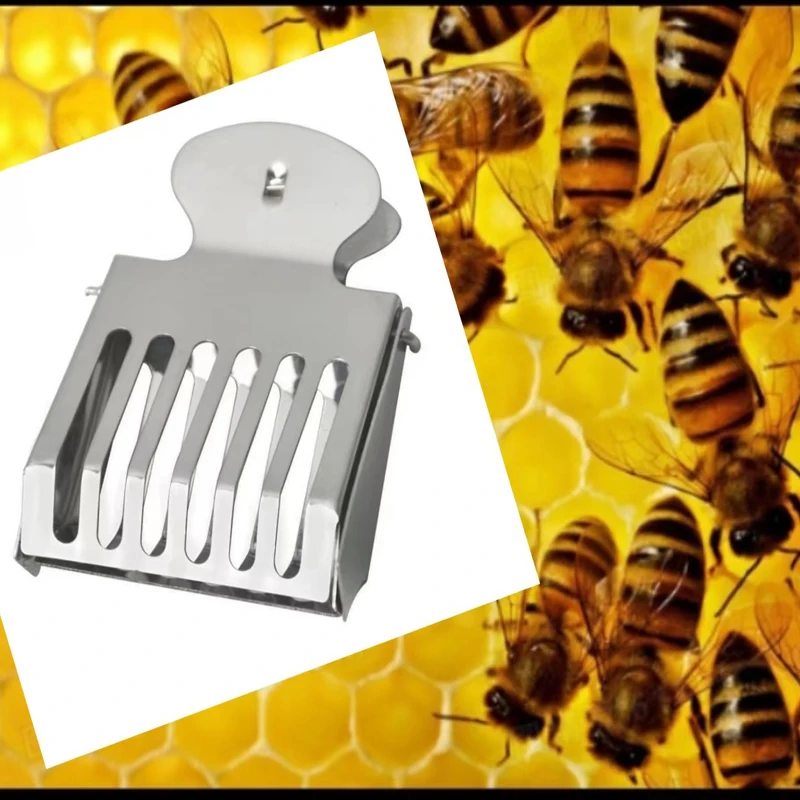 5PCS Bee Queen Catcher Clip Stainless Steel Cage Beekeeping Equipment Beekeeper Equip Isolation Room Beekeeper Apiculture Tool
5PCS Bee Queen Catcher Clip Stainless Steel Cage Beekeeping Equipment Beekeeper Equip Isolation Room Beekeeper Apiculture Tool
