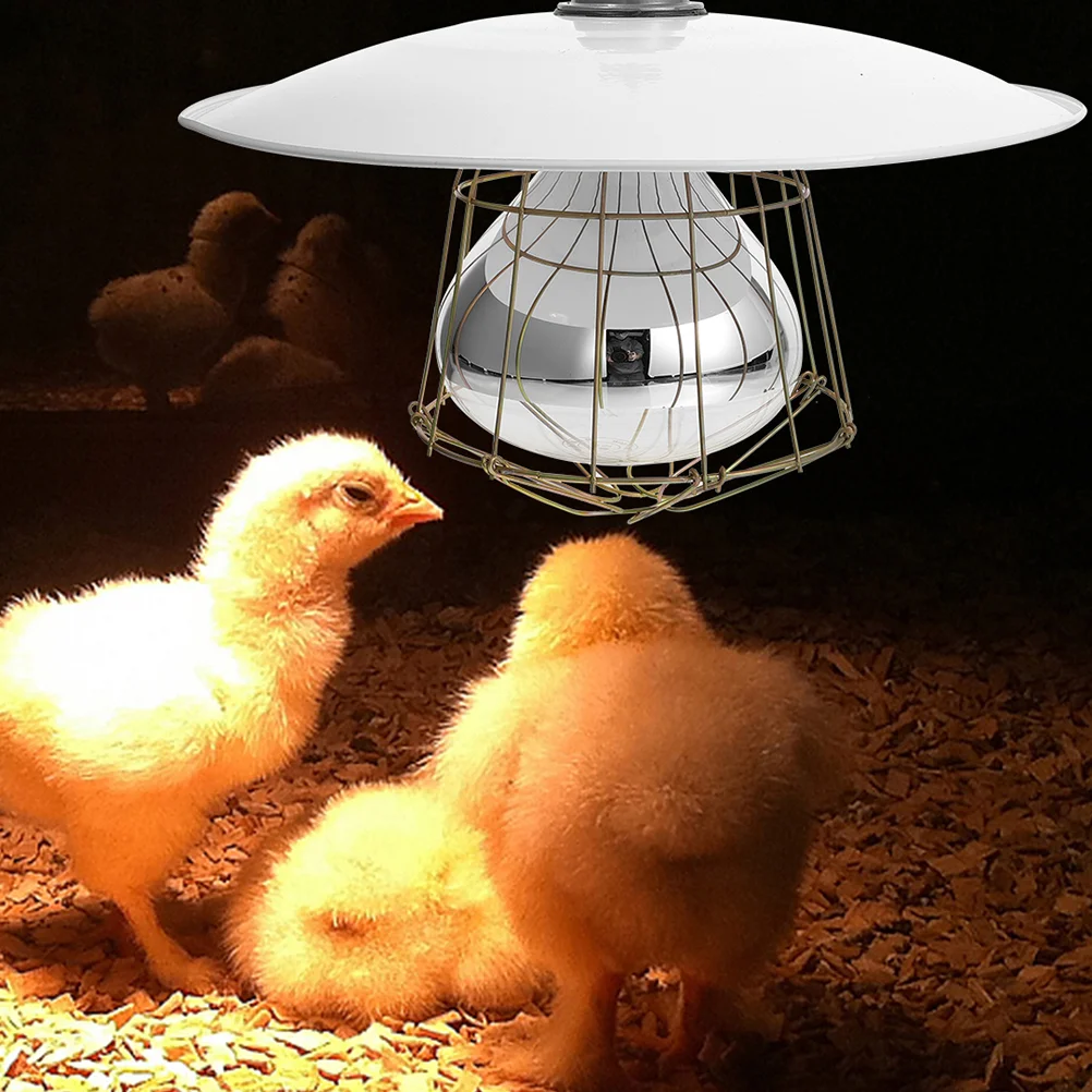 Livestock Heat Lamp Mini Use Heat Lamp Heat Preservation Lamp for Poultry Livestock Lamp Heater
Livestock Heat Lamp Mini Use Heat Lamp Heat Preservation Lamp for Poultry Livestock Lamp Heater