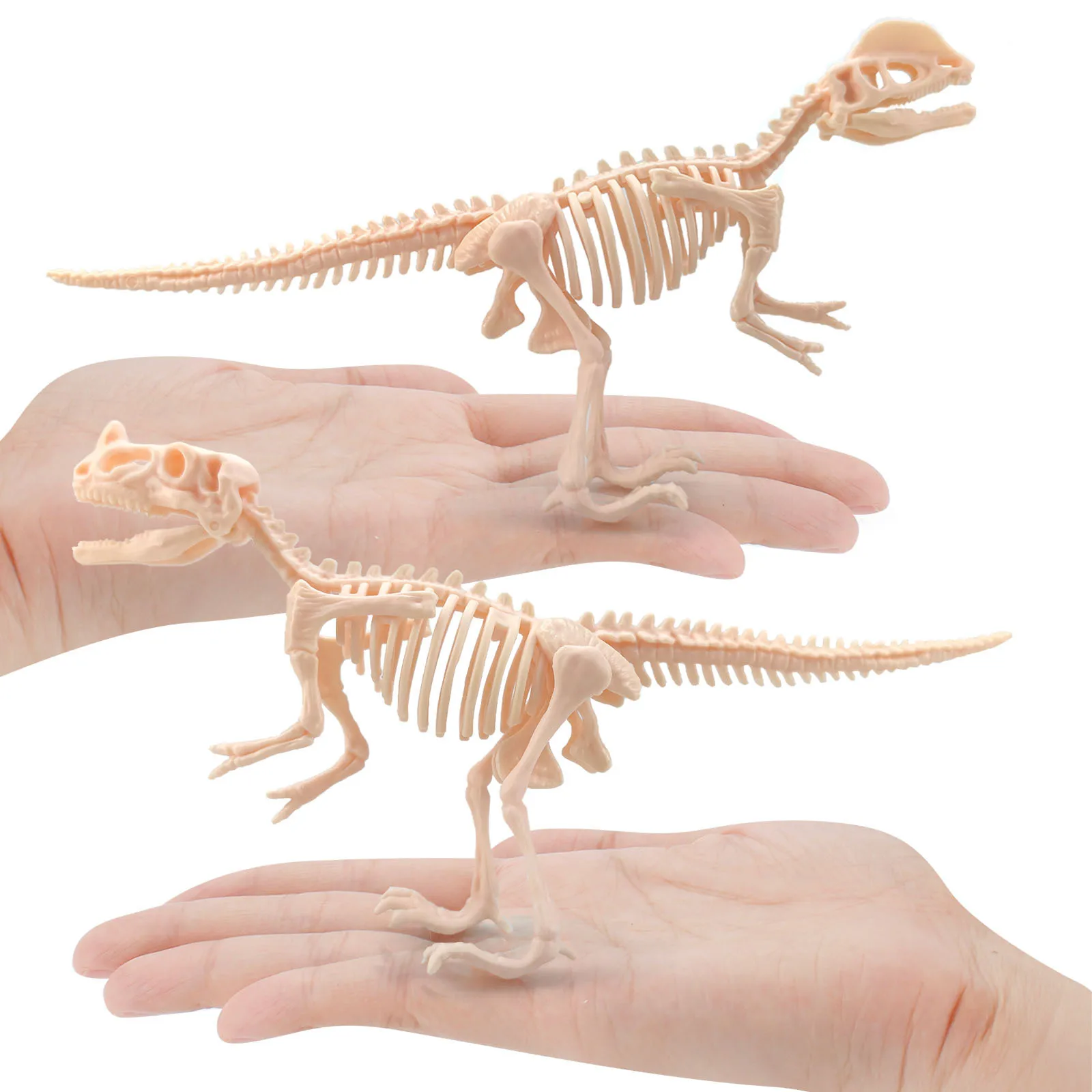Jurassic World/park Dinosaur Toys Tyrannosaurus Rex Dinosaur Fossil Skeleton Baby Children's Toys Map Educational Toys for Boys
Jurassic World/park Dinosaur Toys Tyrannosaurus Rex Dinosaur Fossil Skeleton Baby Children's Toys Map Educational Toys for Boys