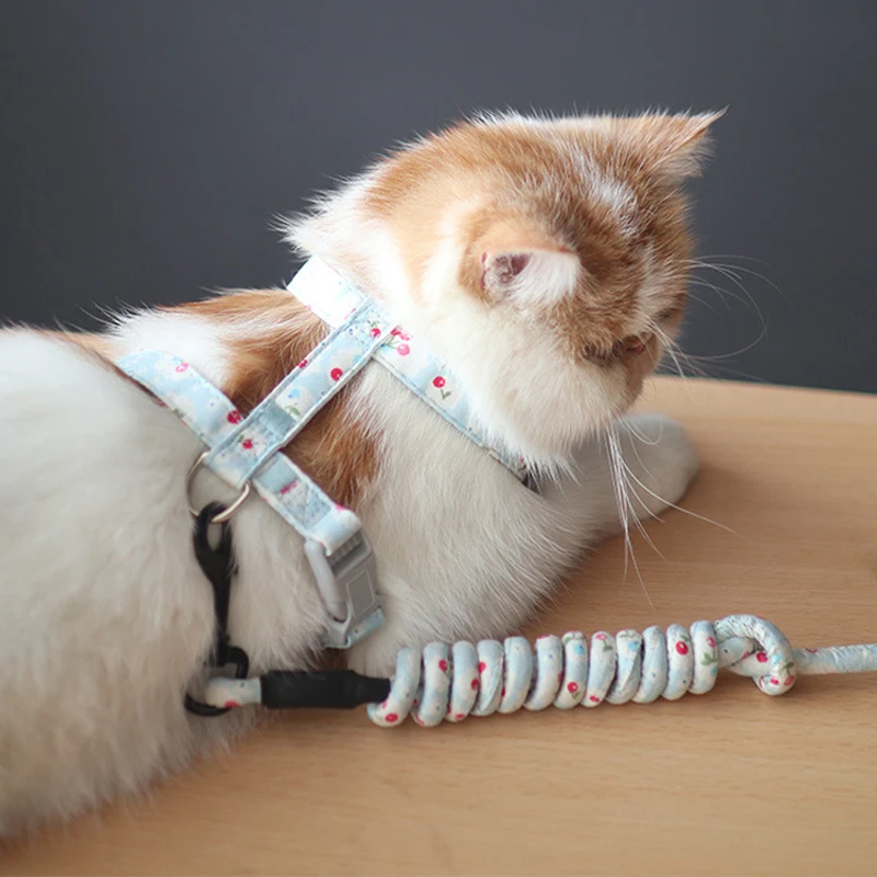 Регулируемый поводок для кошек, элегантный мягкий нагрудный ремень с милым цветочным принтом
Регулируемый поводок для кошек, элегантный мягкий нагрудный ремень с милым цветочным принтом