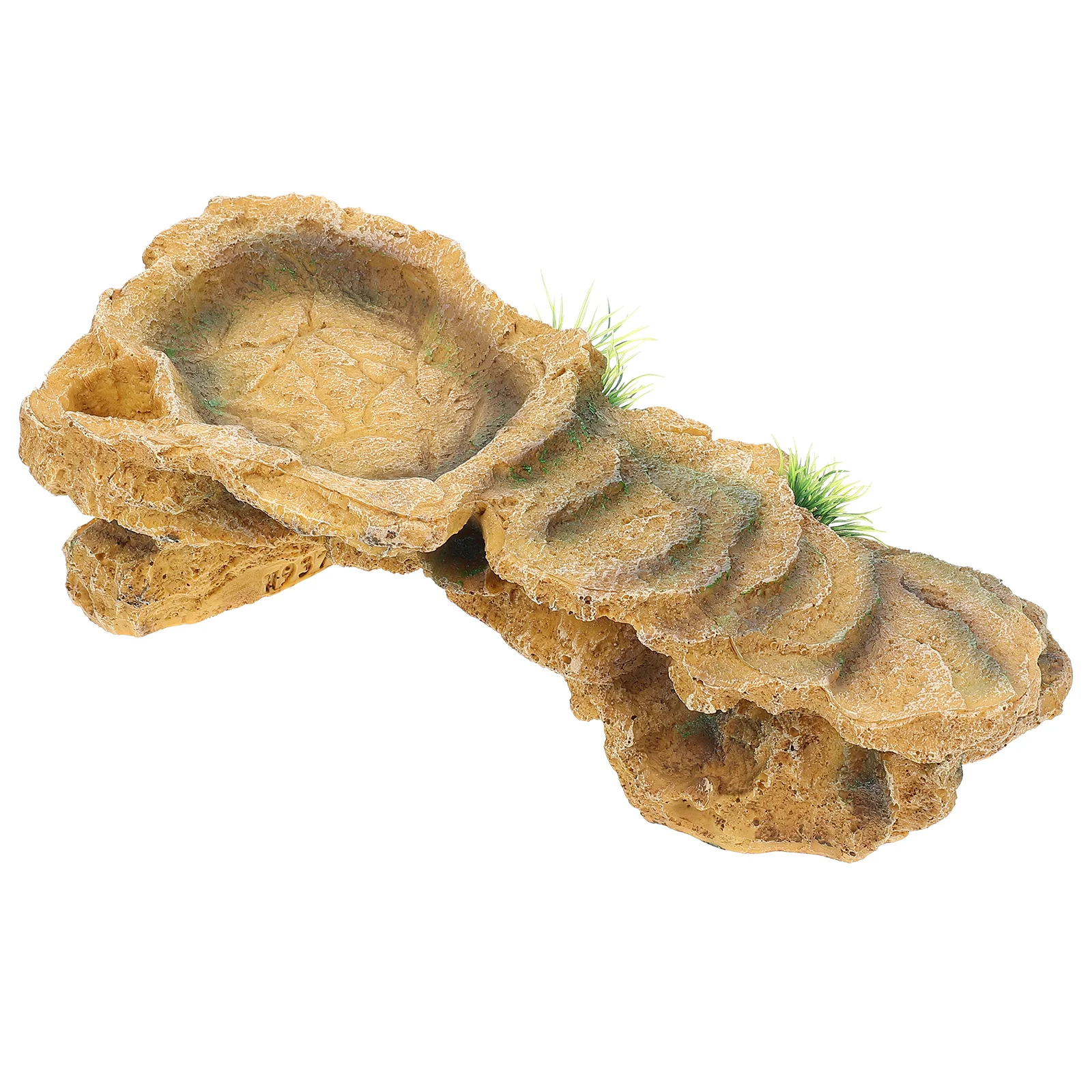 Turtle Platform Reptile Tortoise Basking Habitat Ramp Aquarium Cave Dock Resting Accessories Terracetank Ladder Ornament Hideout
Turtle Platform Reptile Tortoise Basking Habitat Ramp Aquarium Cave Dock Resting Accessories Terracetank Ladder Ornament Hideout
