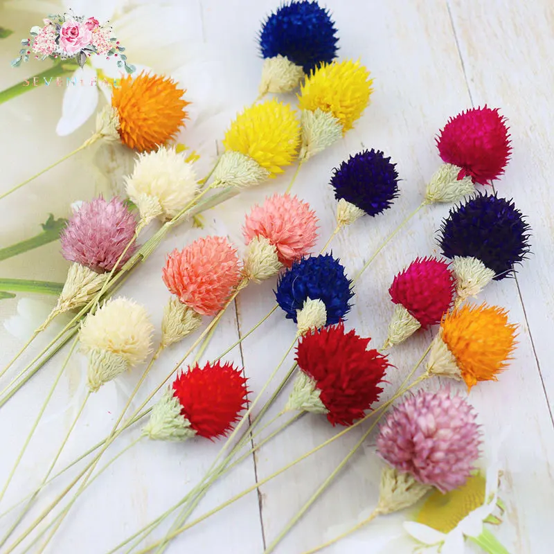 16pcs Colorful Natural Dried Flowers Bouquet Strawberries Grass DIY Handicraft Artificial Flower Home Decor Photo Props
16pcs Colorful Natural Dried Flowers Bouquet Strawberries Grass DIY Handicraft Artificial Flower Home Decor Photo Props