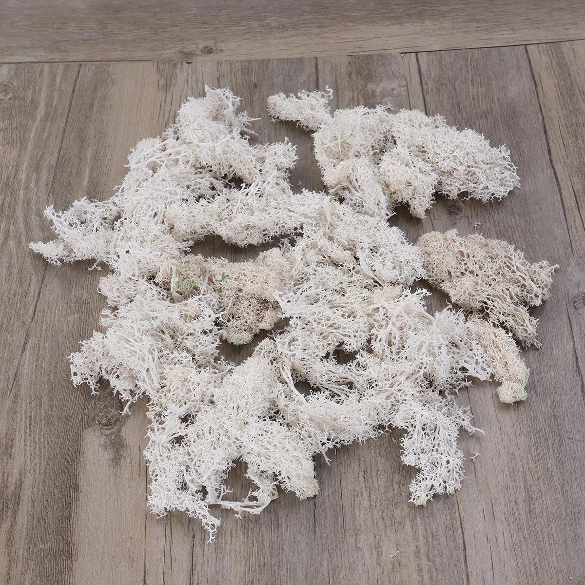 Decorative Artificial White Preserved Garden Well Dry Natural Material Dried Floralpotted
Decorative Artificial White Preserved Garden Well Dry Natural Material Dried Floralpotted