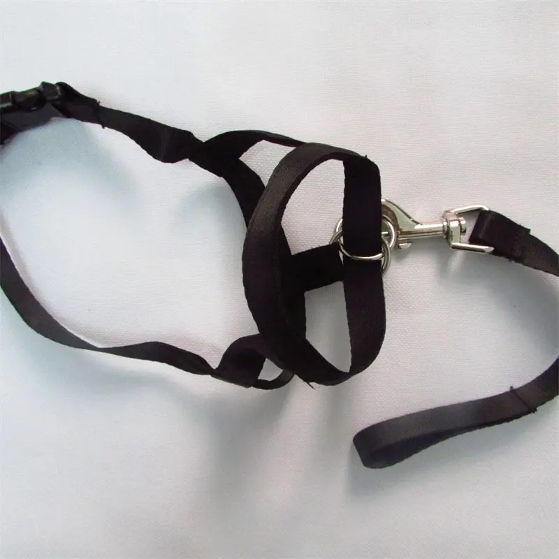 Dog Muzzle Cover Leash Anti-Bark Anti-Bite Collar Traction Dog Mouth Rope Nylon Ropes Pet Training Dogs Supplies
Dog Muzzle Cover Leash Anti-Bark Anti-Bite Collar Traction Dog Mouth Rope Nylon Ropes Pet Training Dogs Supplies