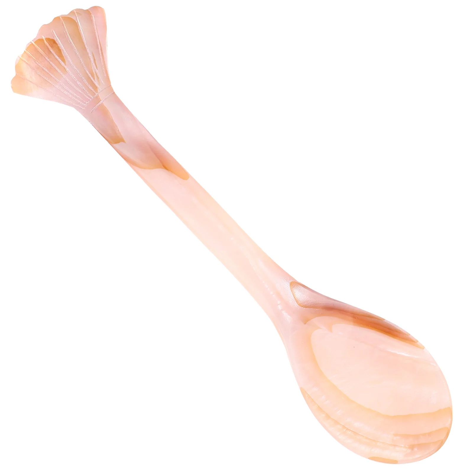 Shell Spoon Coffee Spoon Mixing Spoon Ice Cream Spoon Kitchen Dessert Spoon Shell Spoon Decor
Shell Spoon Coffee Spoon Mixing Spoon Ice Cream Spoon Kitchen Dessert Spoon Shell Spoon Decor